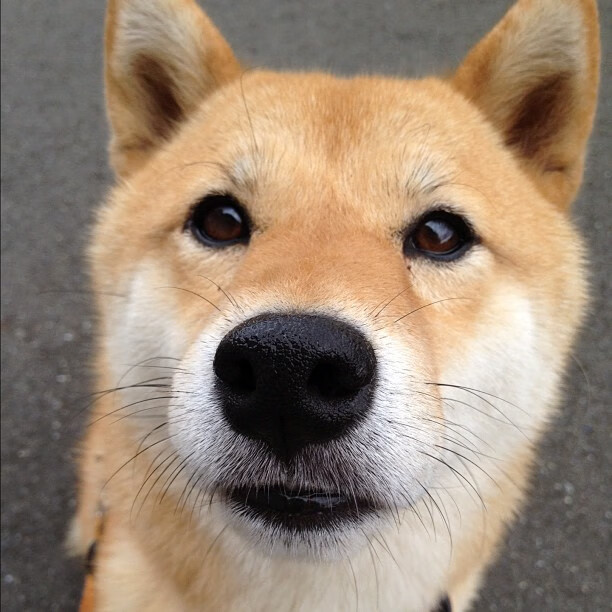 NBA季后赛焦点战，硅胶之躯与死神的冷冽重逢