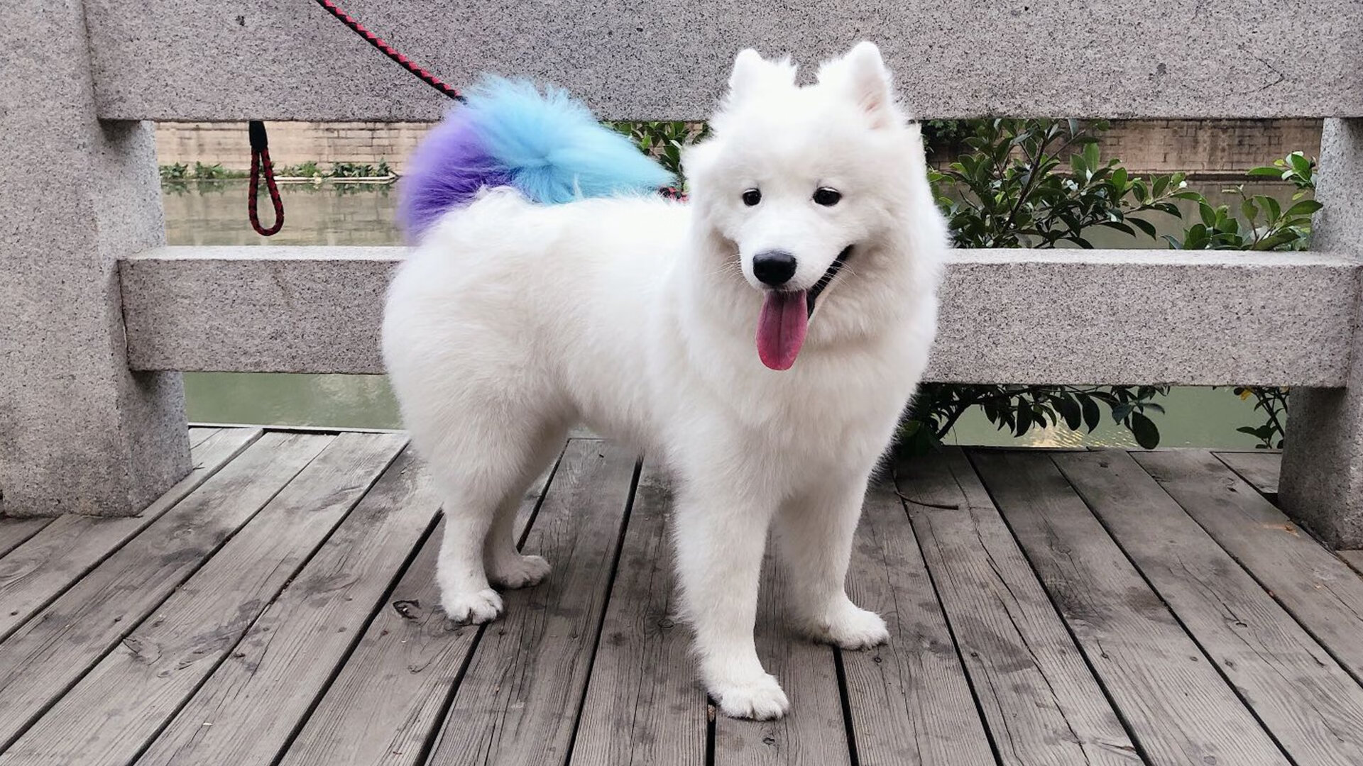 开云体育app-冰与火之歌，阿克在奥运关键战接管比赛，葡萄牙掀翻北欧神话