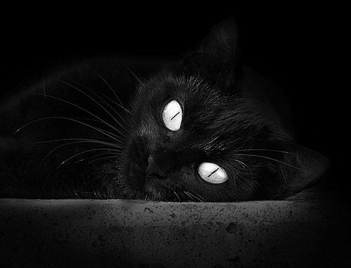 体育app-跨洋对决，北京队强压湖人，德罗赞扛起全队于巨人之肩