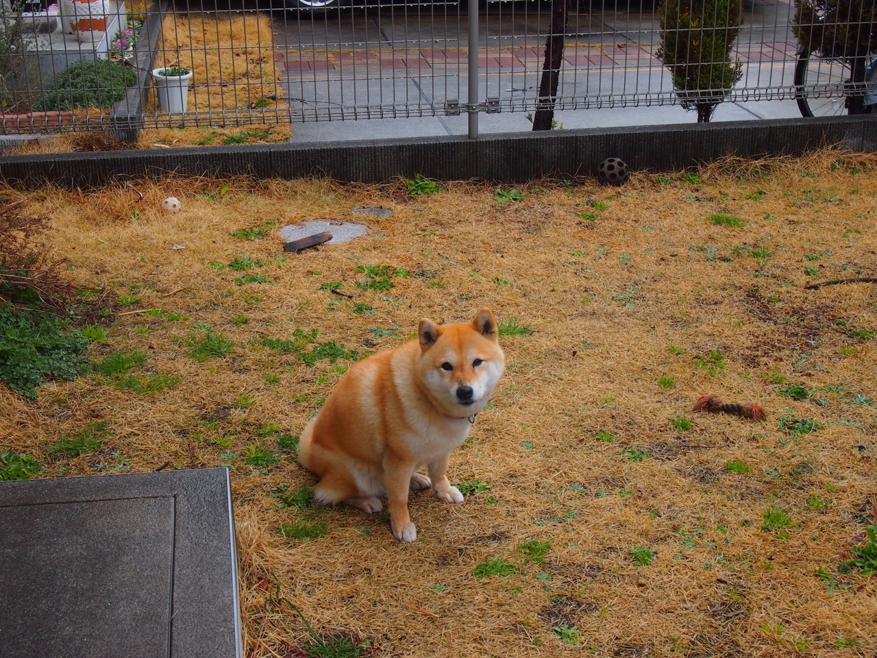 月光下的舞步，卡拉斯科在圣塞巴斯蒂安的制胜之夜