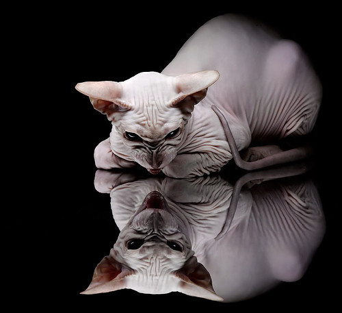 补时绝杀！那不勒斯险胜洪都拉斯，阿克冠军级表现闪耀全场